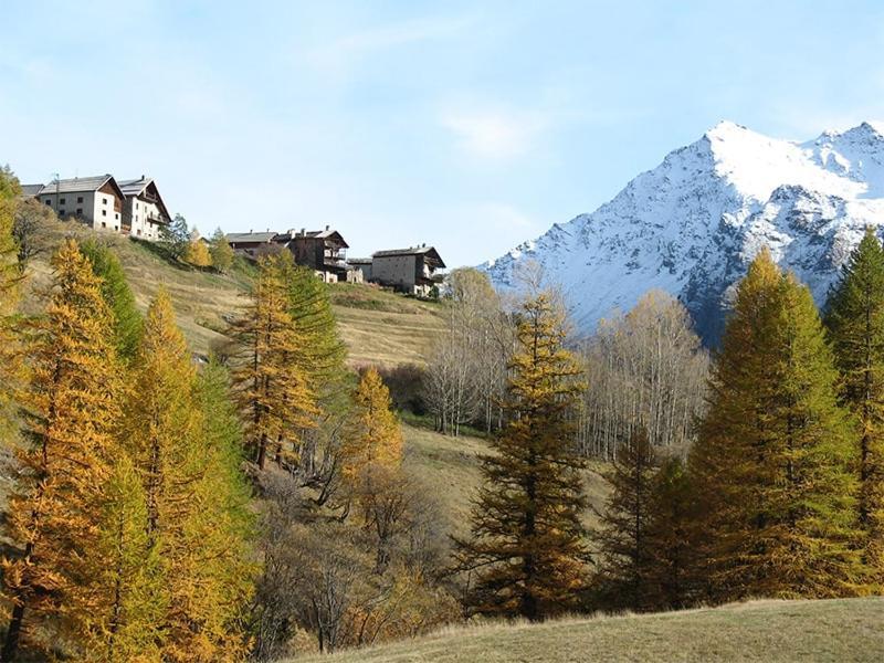 Auberge L'Estoilies Saint-Vérand Zewnętrze zdjęcie